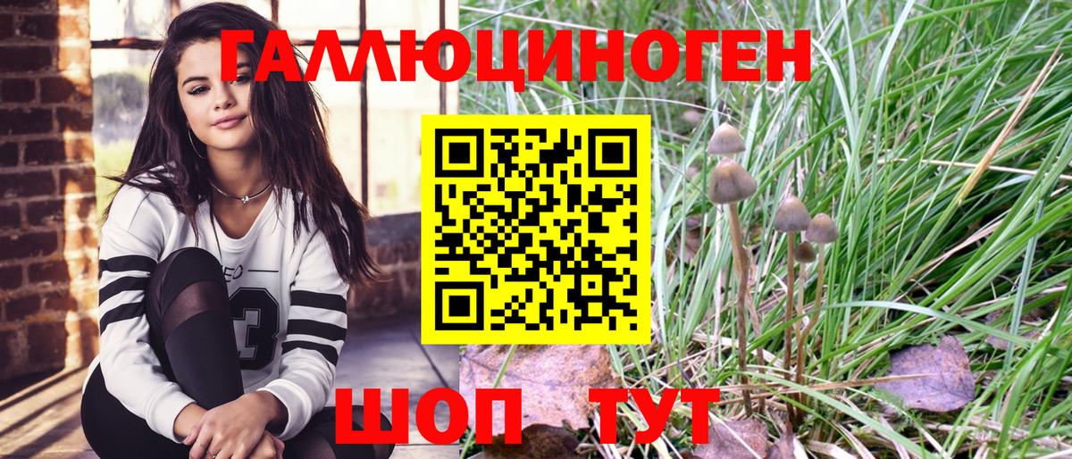 Ейск  Псилоцибиновые грибы GOLDEN TEACHER  Вход с VPN 