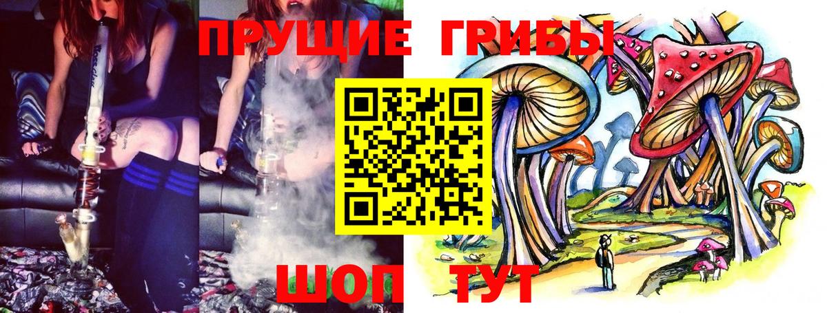Псилоцибиновые грибы Cubensis Ейск